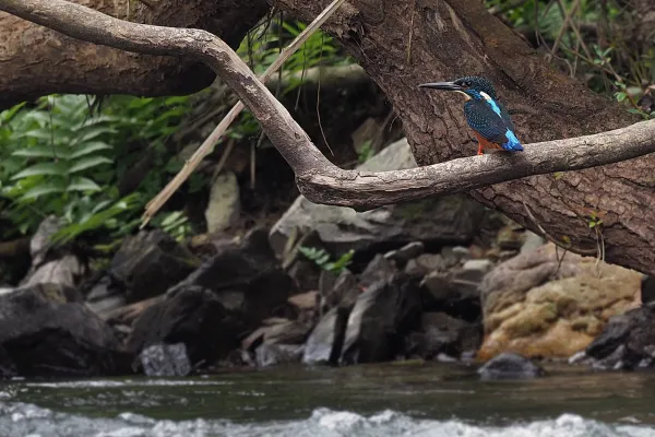 24 Hours - Nam Nern River Safari