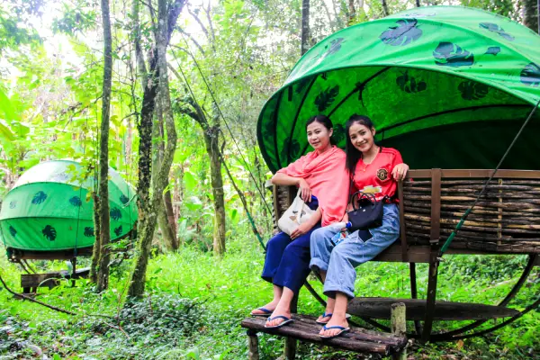 เดินป่าค้างคืนกระเช้าต้นไม้ 2 คืน