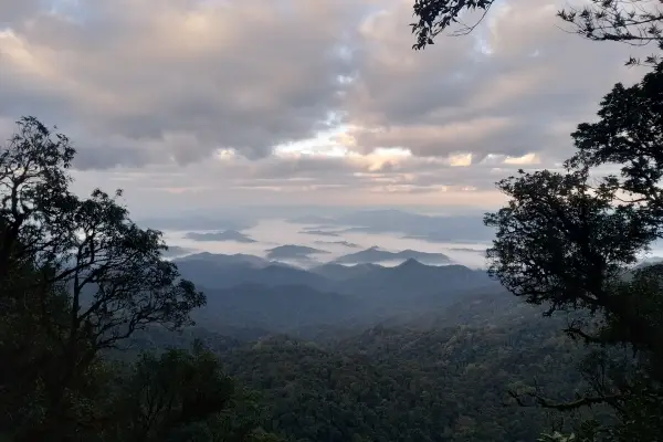 ทัวร์เดินป่า ในป่าฝนที่ท้าทาย 5 วัน 4 คืน