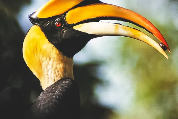 Nam Ha Trekking Immersion}