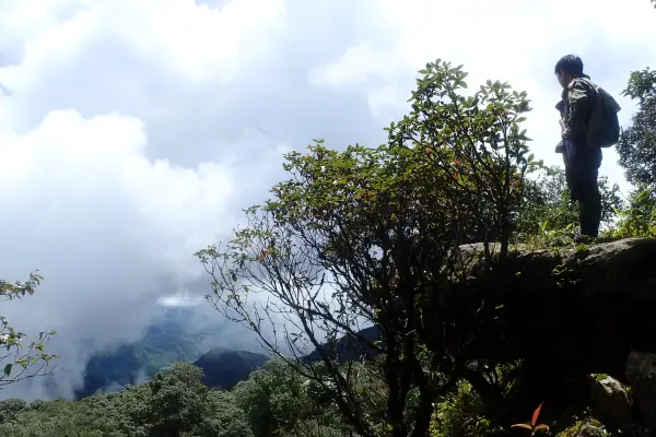 ทัวร์เดินป่า ในป่าฝนที่ท้าทาย 5 วัน 4 คืน