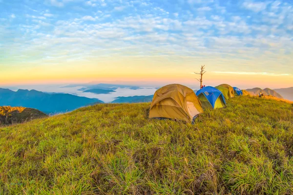 ຍ່າງປ່າ, ຕັ້ງແຄ້ມຢູ່ພູຫຍ້າຄາ ແລະ ພູຜາຫີນ