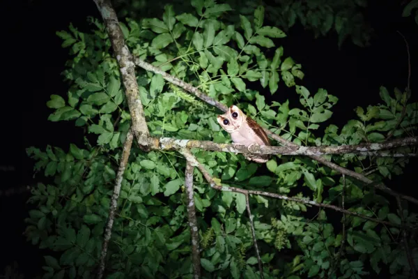 24 Hours - Nam Nern River Safari}