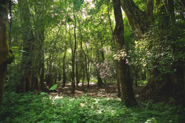 Nam Ha Trekking Immersion