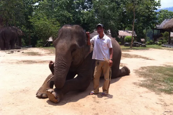 2 Day Mahout Experience with Overnight (Shangri Lao)