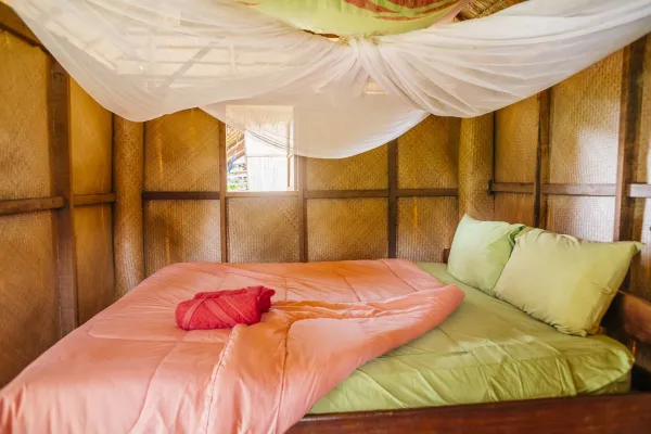 Discover Sayabouly's Elephant Sanctuary: A 3 Days - 2 Nights Wildlife Adventure