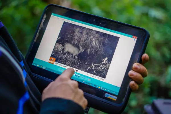 ทัวร์เดินป่า ในป่าฝนที่ท้าทาย 5 วัน 4 คืน