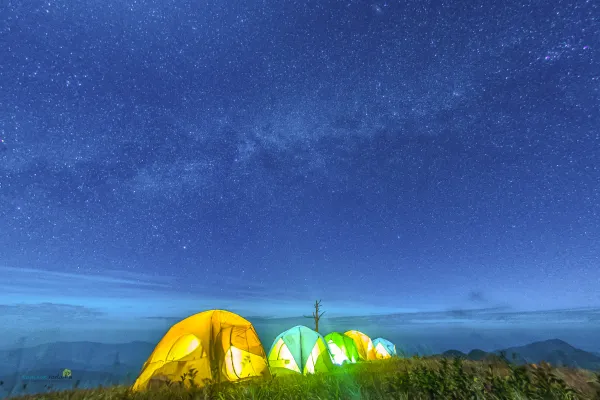 ຍ່າງປ່າ, ຕັ້ງແຄ້ມຢູ່ພູຫຍ້າຄາ ແລະ ພູຜາຫີນ