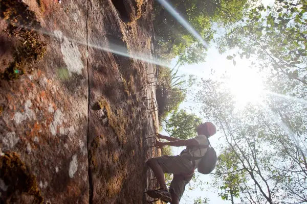 Tree Top Explorer (3 Days/2 Nights)}