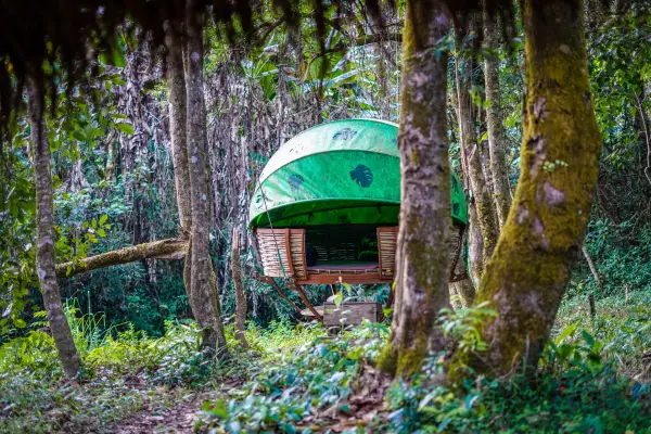 เดินป่าค้างคืนกระเช้าต้นไม้ 2 คืน