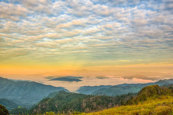 ຍ່າງປ່າ, ຕັ້ງແຄ້ມຢູ່ພູຫຍ້າຄາ ແລະ ພູຜາຫີນ