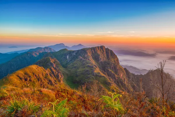 ຍ່າງປ່າ, ຕັ້ງແຄ້ມຢູ່ພູຫຍ້າຄາ ແລະ ພູຜາຫີນ