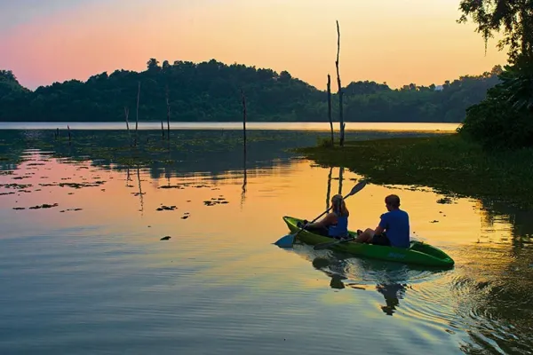 Discover Sayabouly's Elephant Sanctuary: A 3 Days - 2 Nights Wildlife Adventure