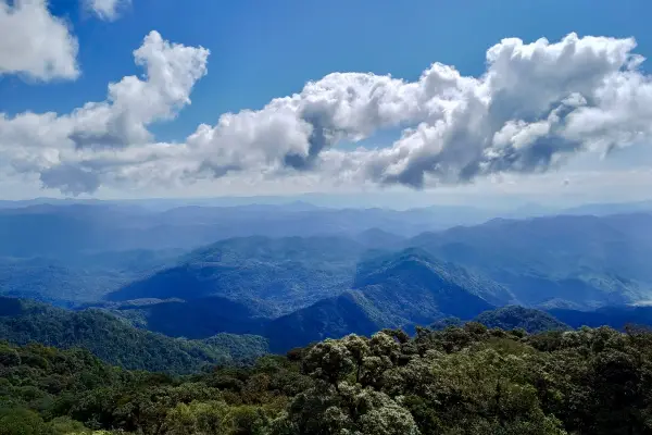 ทัวร์เดินป่า ในป่าฝนที่ท้าทาย 5 วัน 4 คืน