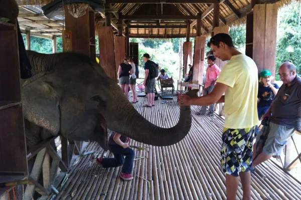 2 Day Mahout Experience with Overnight (Shangri Lao)}