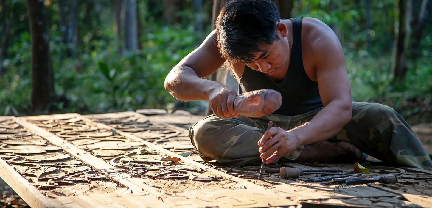 XE PIAN NATIONAL PROTECTED AREA, WETLANDS AND ELEPHANTS