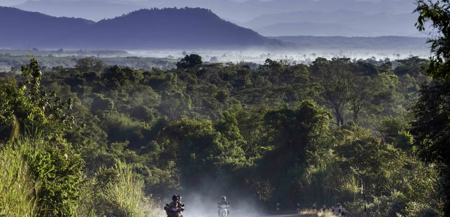 The Bolaven Plateau: a Coffee Lover’s Paradise