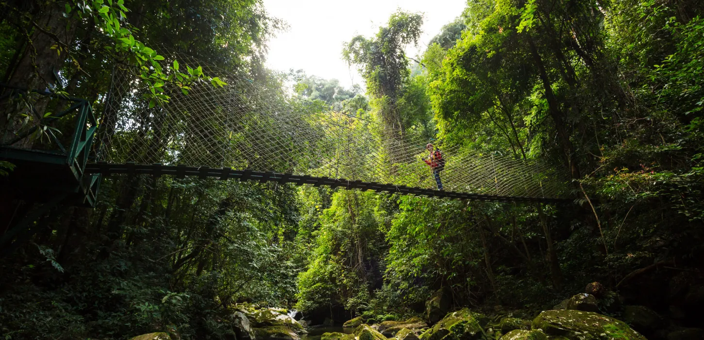 Wild experiences in Laos for every type of adventurer!