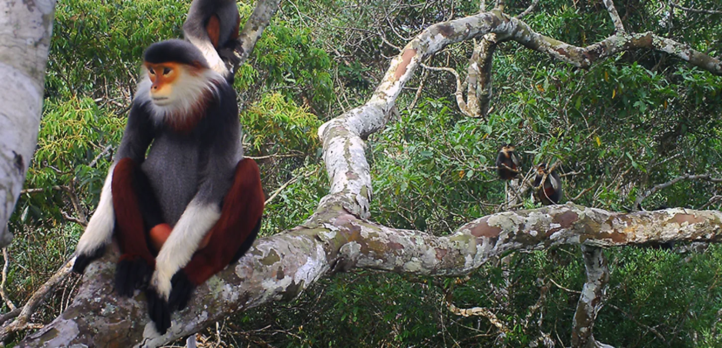 Kỳ quan dãy Trường Sơn