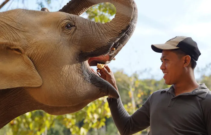 Elephant Sanctuary Tours