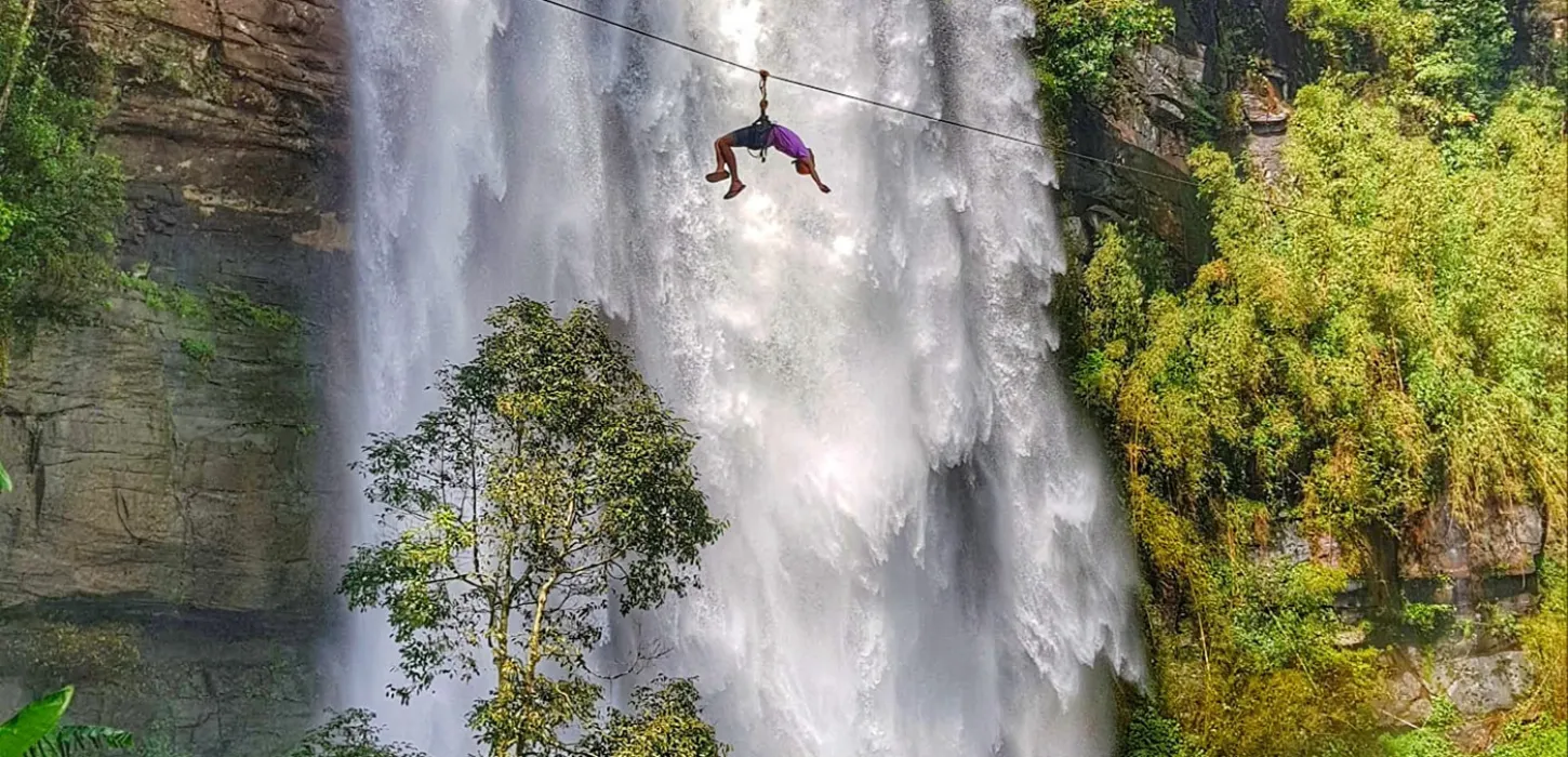 Car Rentals & Transfers