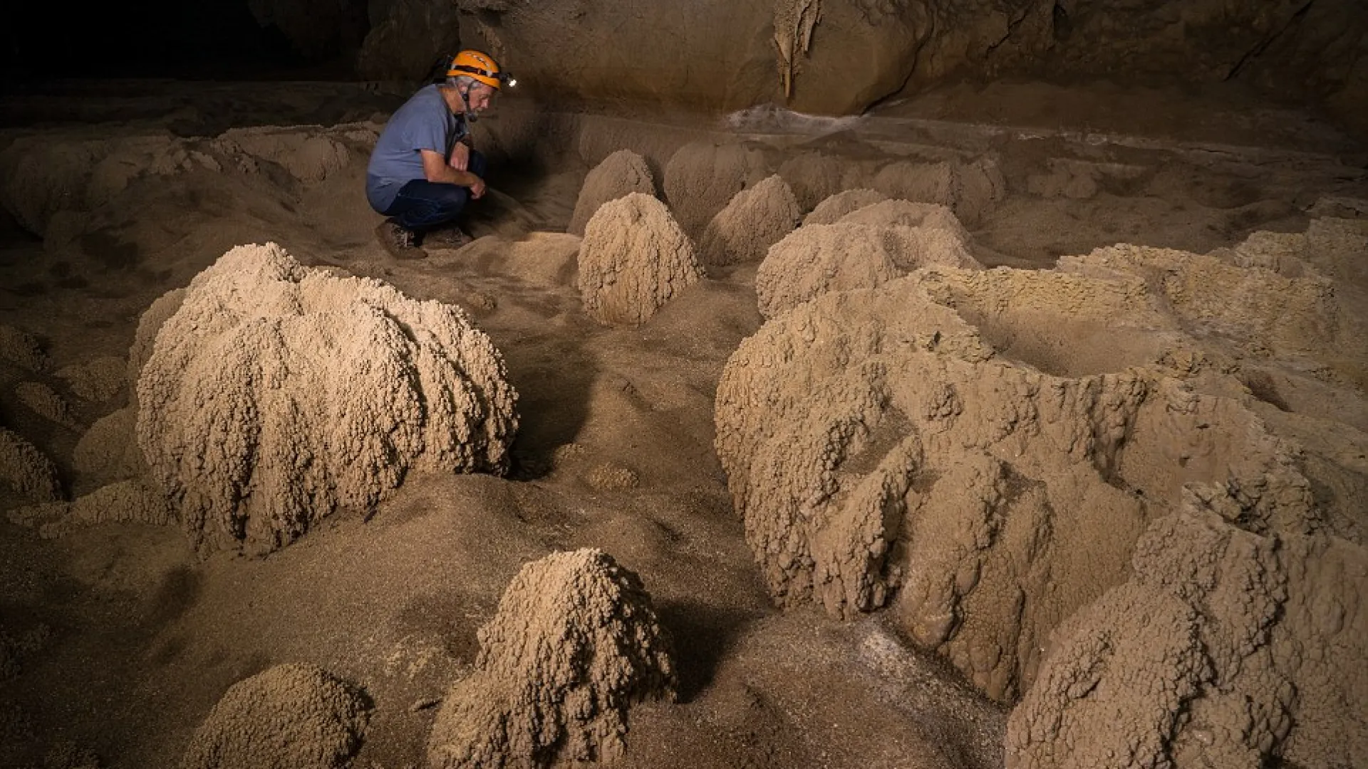 Photo by : John Spies