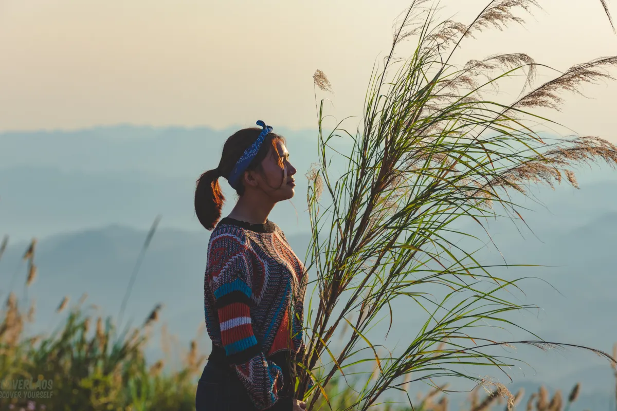 完美拍摄您和自然的理想之地。