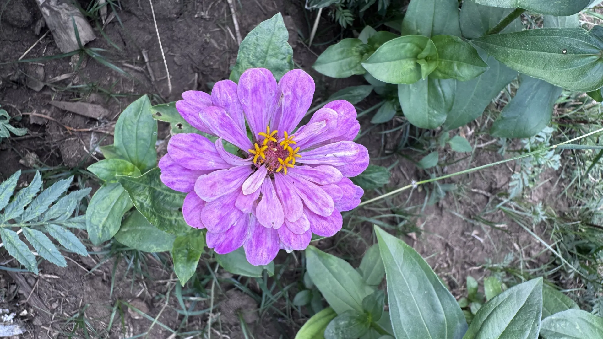 Khmu Exhibition Hall – A Cultural Stop on the Way to Kuang Si Waterfall