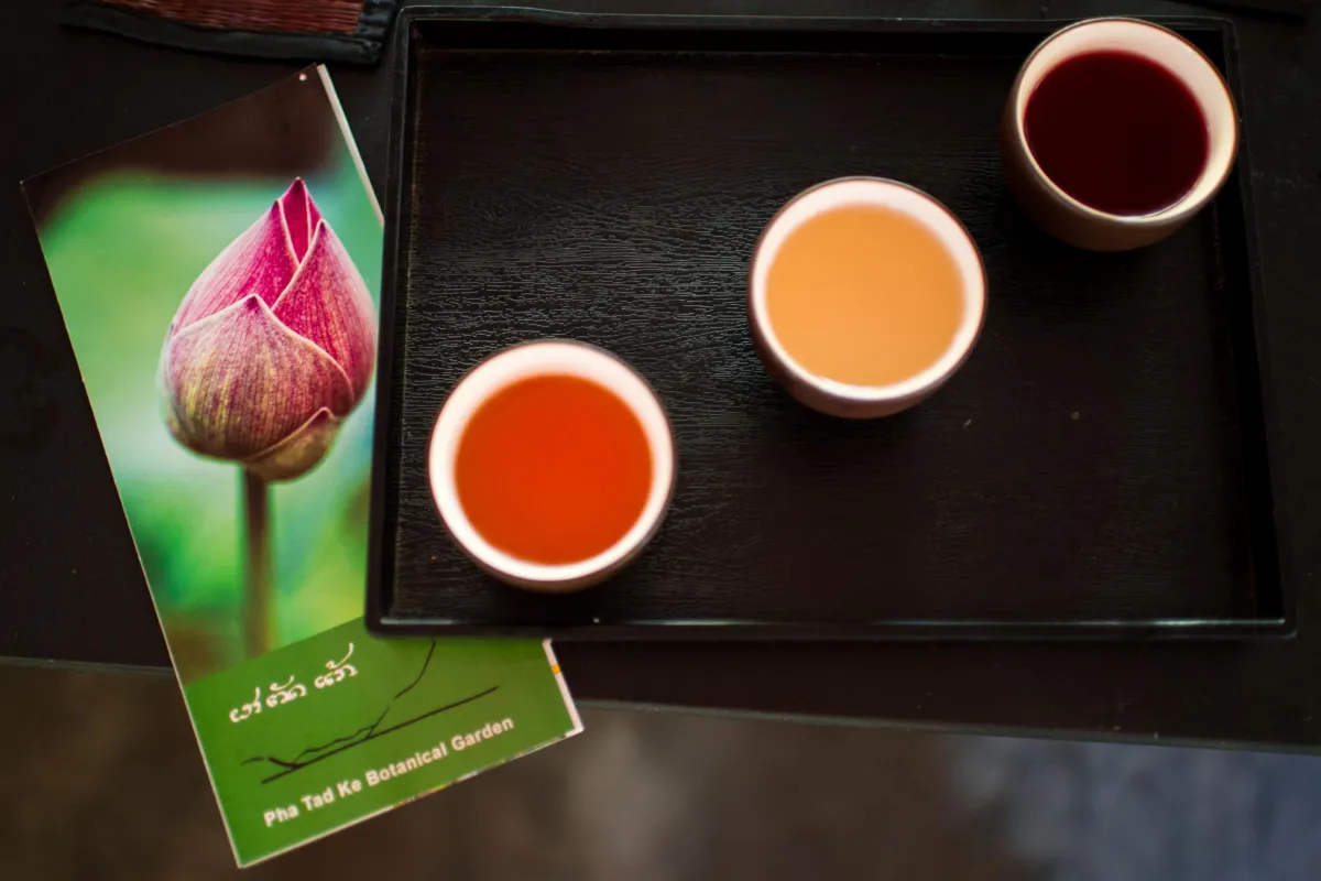 Tea Testing at Pha Tad Ke