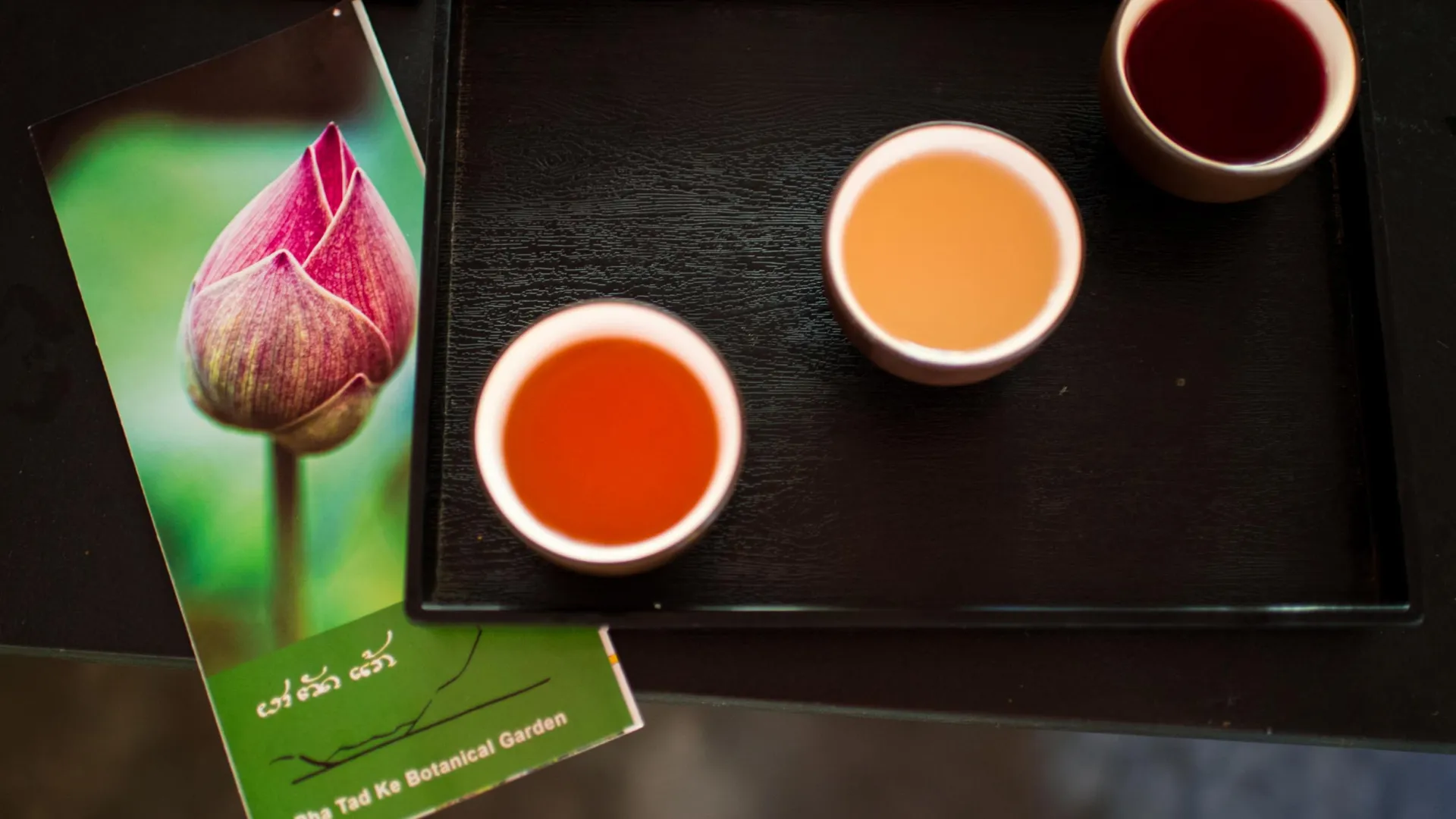 Tea Testing at Pha Tad Ke