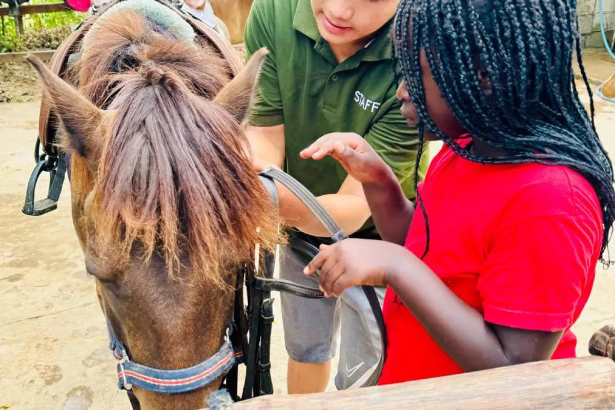 Pony Ride Experience in Luang Prabang