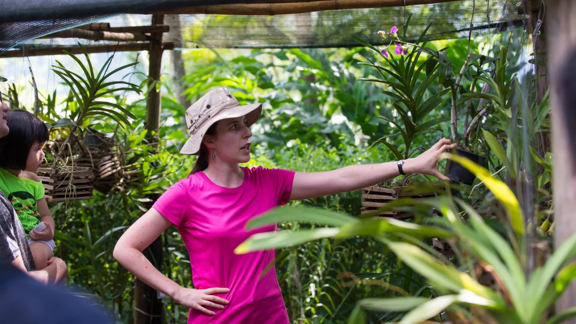 Pha Tad Ke Orchid Talk