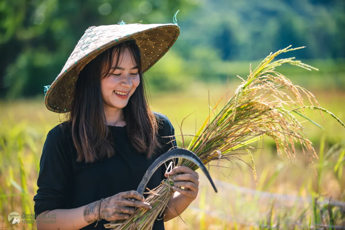 The Living Land Farm -  Rice Farming Experience