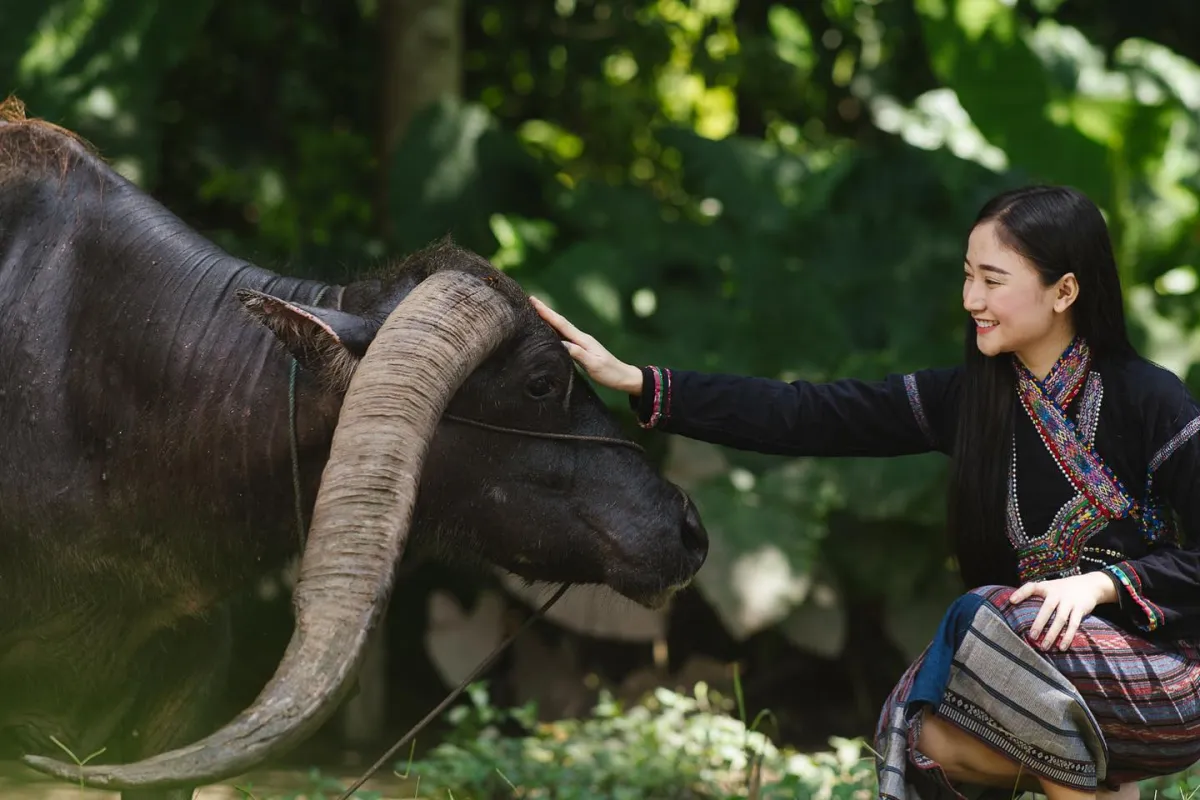 海花瀑布/绿色丛林公园