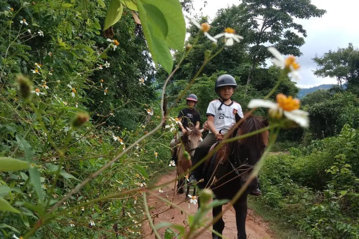 Pony Ride Experience in Luang Prabang