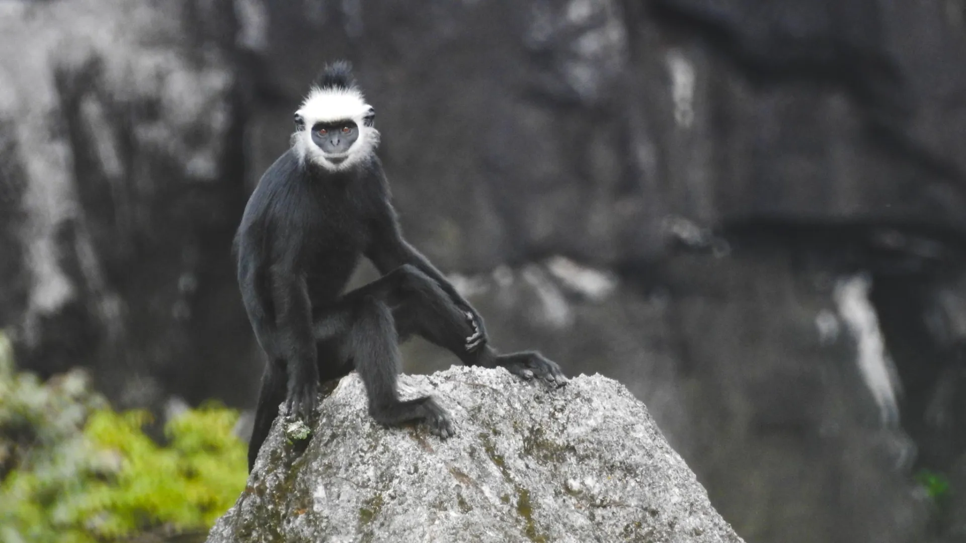 甘蒙福帕玛恩岩石观景点