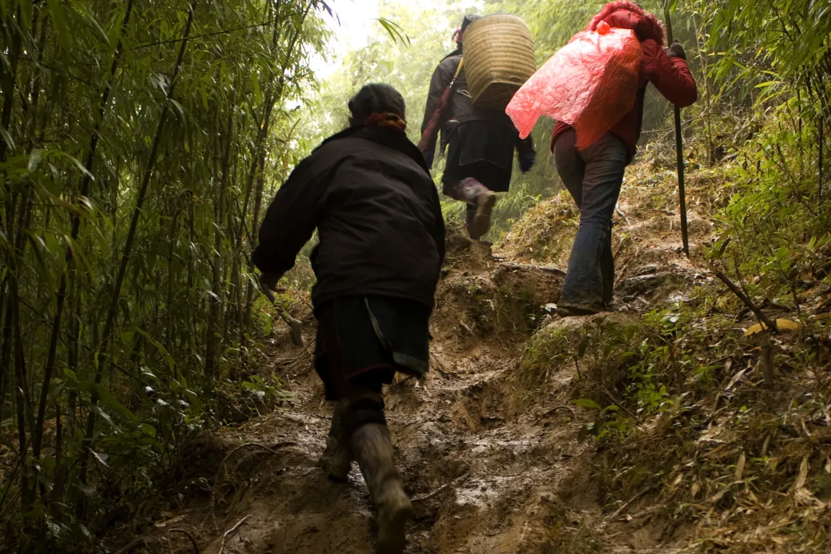 Trekking in Luang Prabang