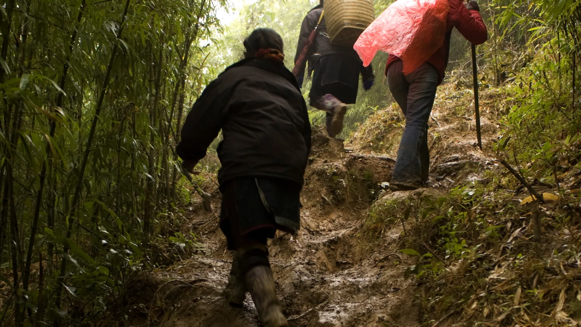 Trekking in Luang Prabang