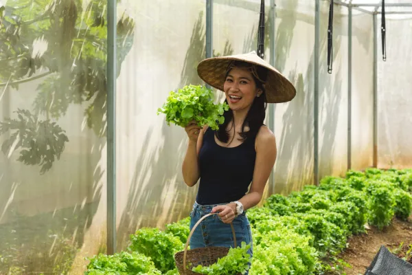 南康生态小屋有机农场之旅