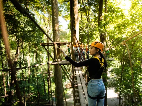 Combo program: Rope course and Riding Elephant in the Camp