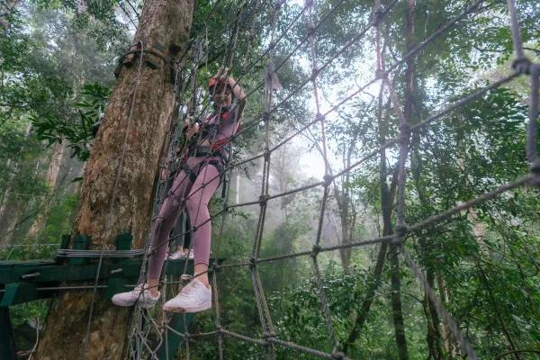 แพ็คเกจ D สวนน้ำ > ซิปไลน์ > Tree Top