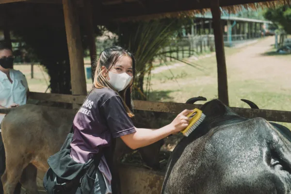 半日农场与社区体验
