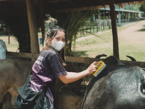 Half-Day Farm & Community Experience