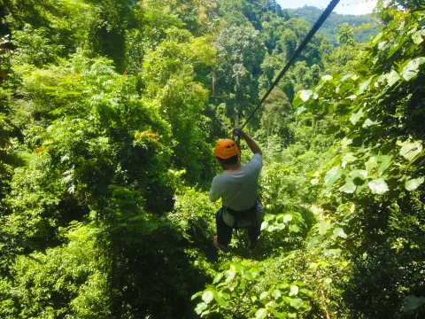 Half-Day Ziplines at Nahm Dong Park