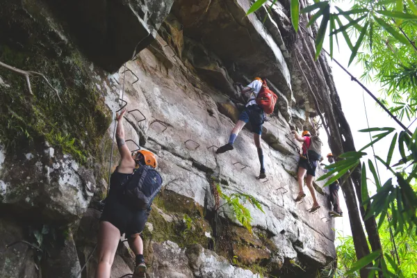 ກິດຈະກຳເຮືອນຕົ້ນໄມ້ (3 ມື້/2 ຄືນ)