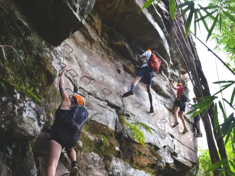 Tree Top Explorer (3 Days/2 Nights)