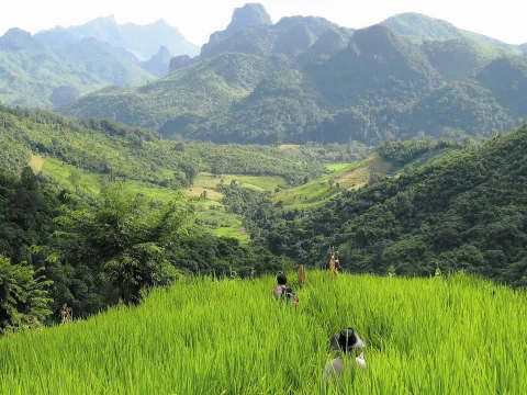 2 Day Trek & Homestay in Nong Khiaw & Tadmok Waterfall