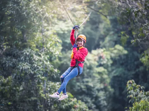 Resort Car, Trekking, Giant Trees, Sky Bridges, Waterfall, 18 Zip lining