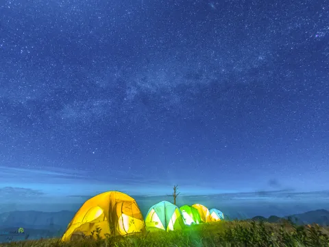 Trekking, Camping at Phu Ya Kha, Sea of Mist