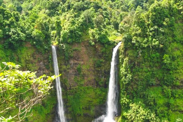 เส้นทางเดินป่าที่ราบสูงโบลาเวน